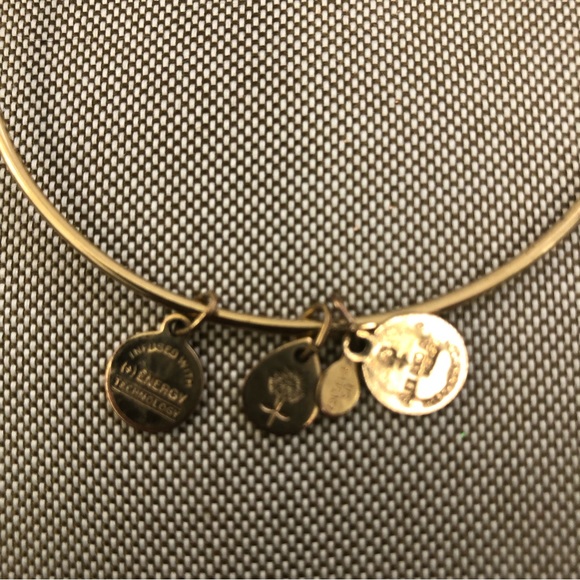 Alex and Ani Light Siam Birthstone Charm Gold Tone Bangle With Swarovski Crystal - Picture 4 of 6